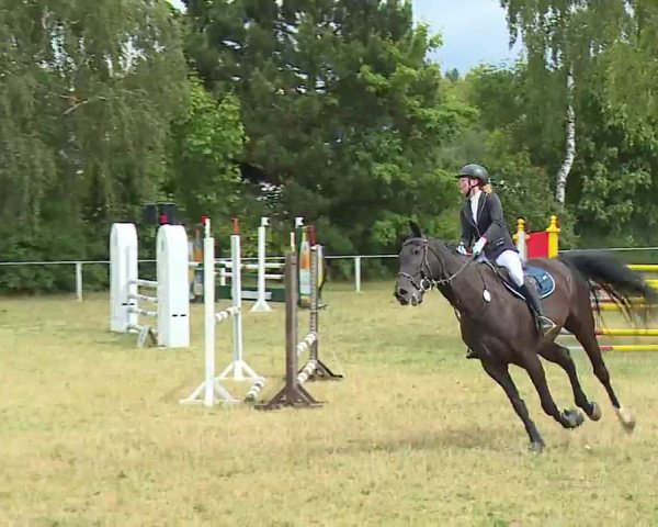 Reitturnier Hof-Haidt/Ofr. 2022
