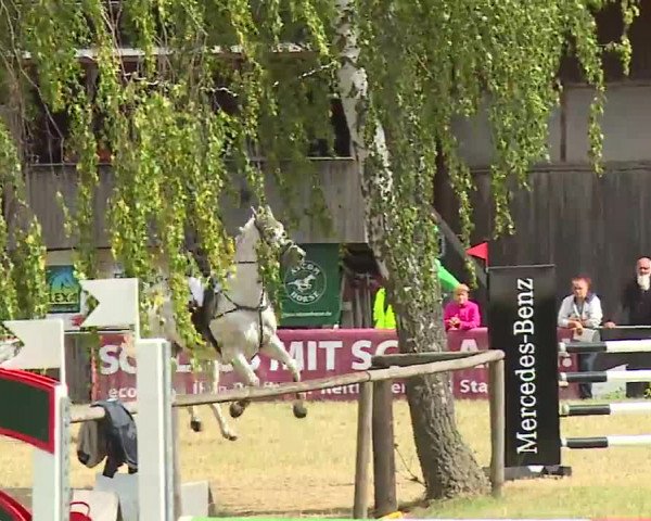 Reitturnier Hof-Haidt/Ofr. 2022