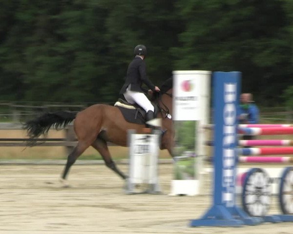 Reitturnier Hemer-Oese an der Edelburg 2022