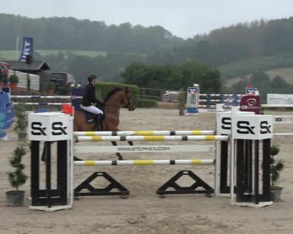 Reitturnier Lindlar-Süttenbach 2022