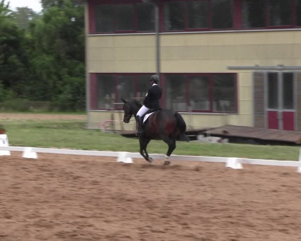Reitturnier Prussendorf 2022