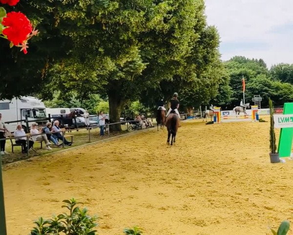 Video of Little Dancer St