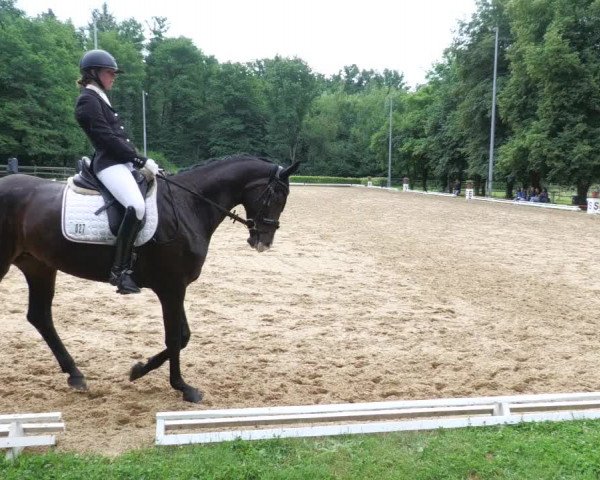 Reitturnier Nürtingen 2022
