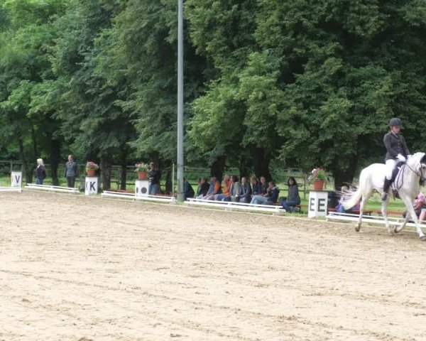 Reitturnier Nürtingen 2022