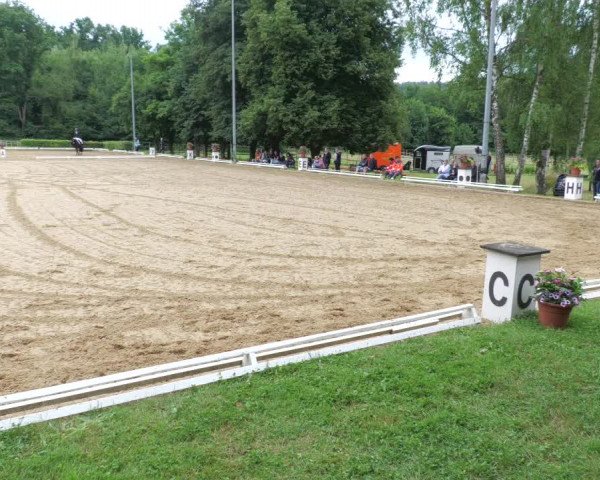Reitturnier Nürtingen 2022