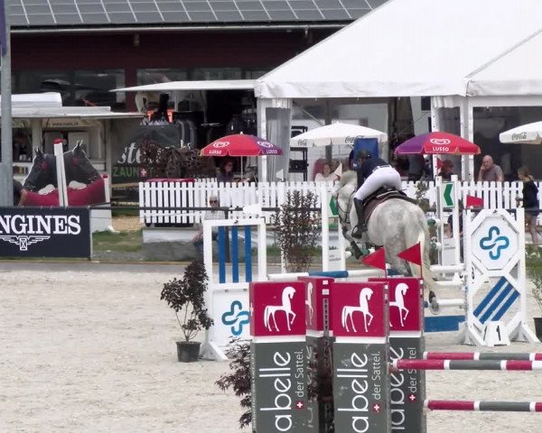 Reitturnier Gossau (Stall Sommersweid) 2022