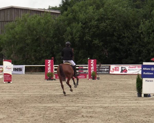 Reitturnier Haren-Raken 2022