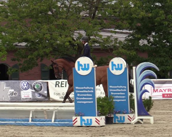 Reitturnier Haren-Raken 2022