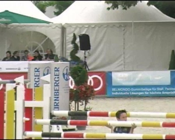 jumper Twister 110 (KWPN (Royal Dutch Sporthorse), 2000, from Now Or Never M)