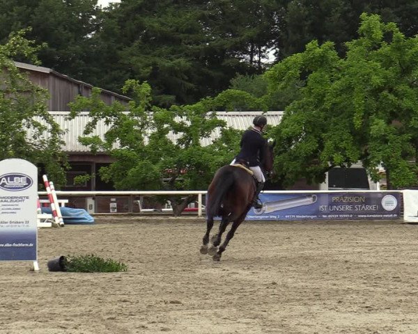 Reitturnier Haren-Raken 2022