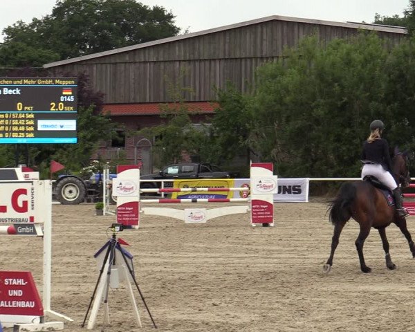 Reitturnier Haren-Raken 2022