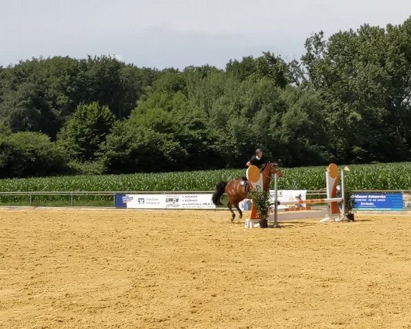 Video of Little Dancer St