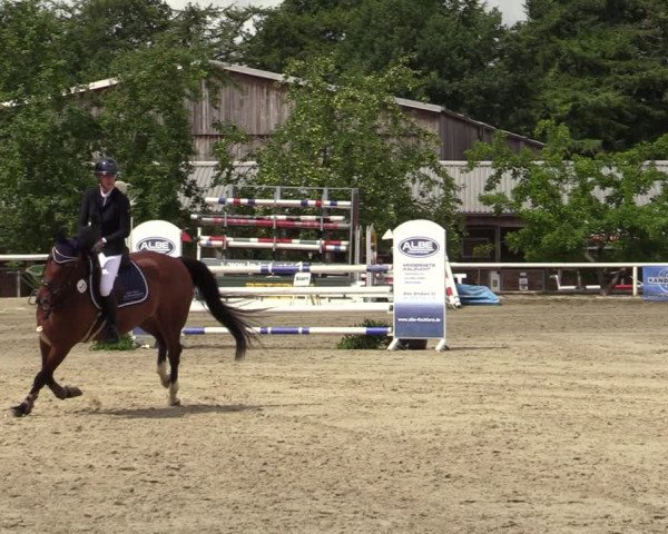 Reitturnier Haren-Raken 2022