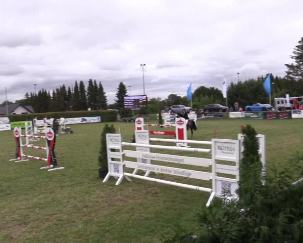 Reitturnier Moringen 2022