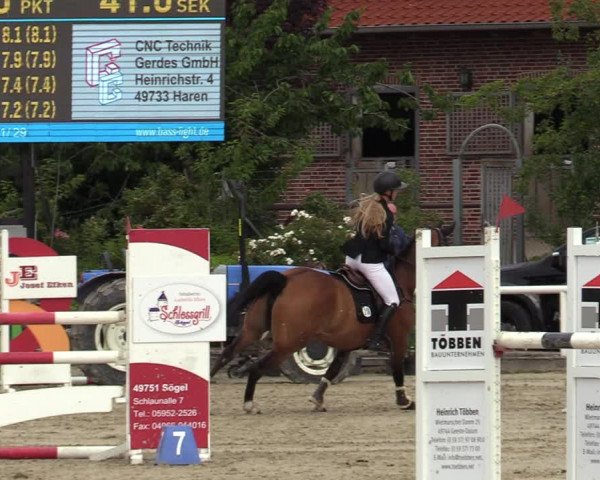 Reitturnier Haren-Raken 2022