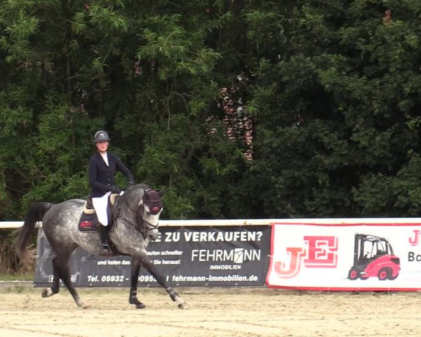 Reitturnier Haren-Raken 2022