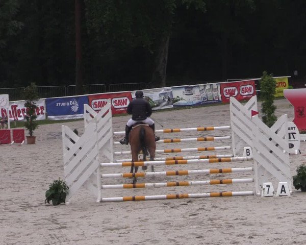 Reitturnier Prussendorf 2022