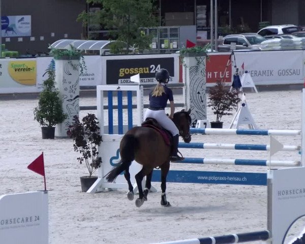 Reitturnier Gossau (Stall Sommersweid) 2022