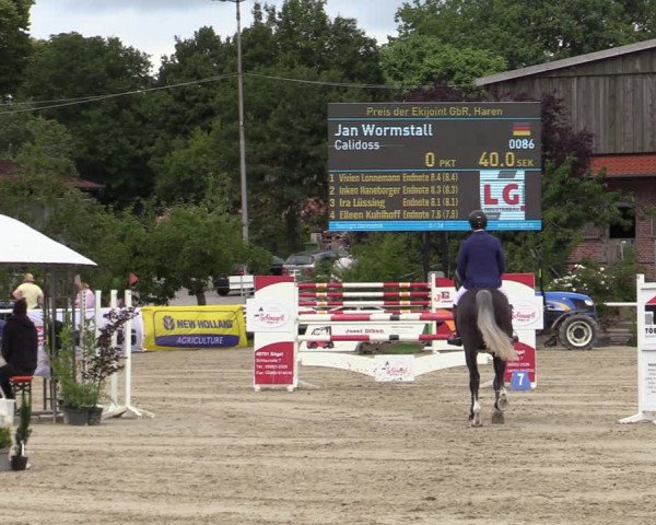 Reitturnier Haren-Raken 2022