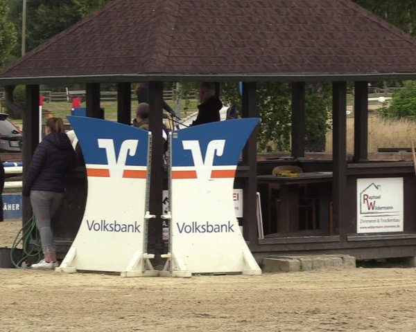 Reitturnier Münster-Roxel 2022