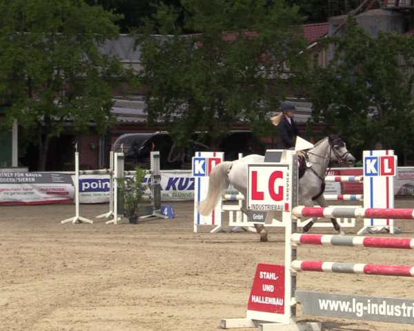 Reitturnier Haren-Raken 2022