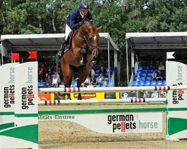 jumper Querque (Oldenburg, 2006, from Quality 9)