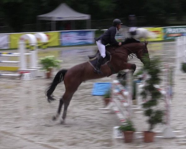 Reitturnier Prussendorf 2022