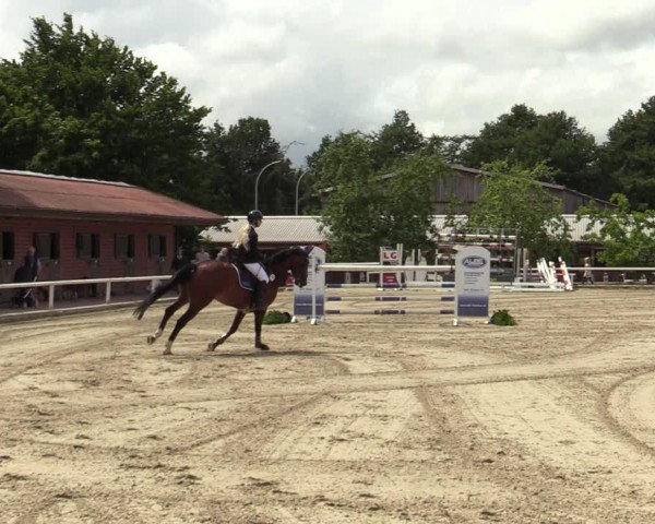 Reitturnier Haren-Raken 2022
