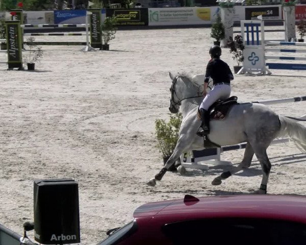 Reitturnier Gossau (Stall Sommersweid) 2022
