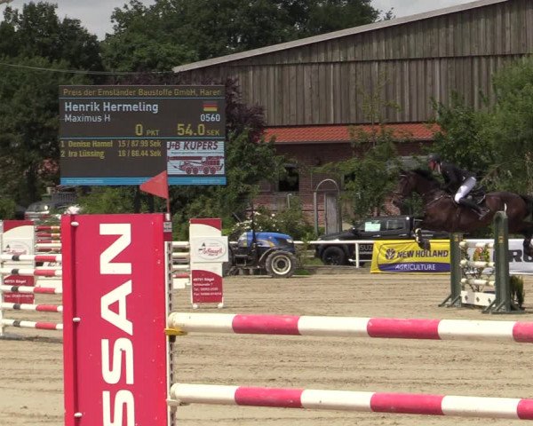 Reitturnier Haren-Raken 2022