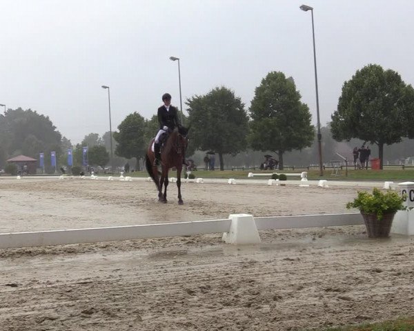 Reitturnier Münster-Roxel 2022