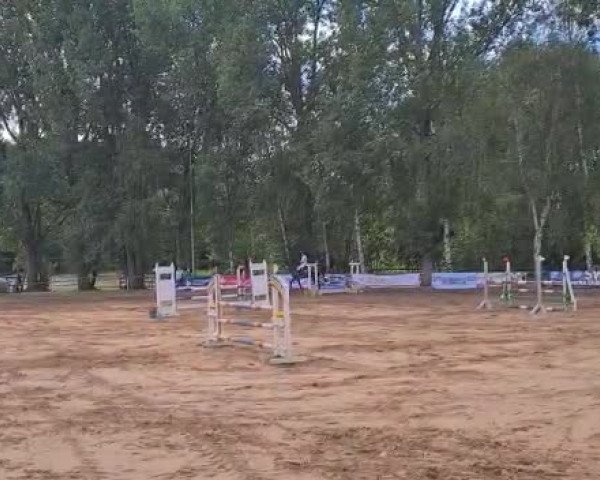 Video von Nantano van het Hertenrooi
