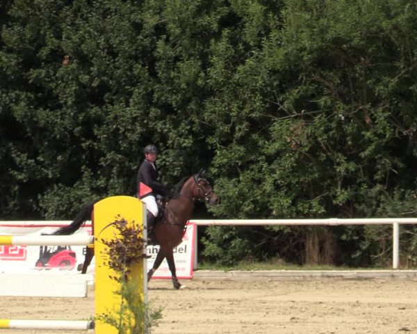 Reitturnier Haren-Raken 2022