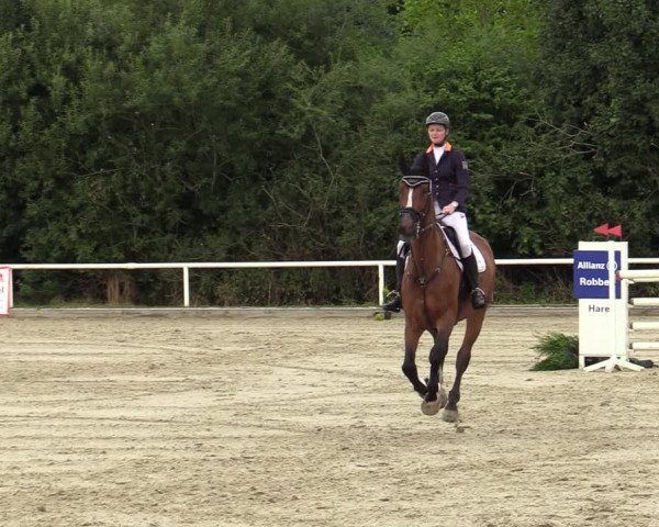 Reitturnier Haren-Raken 2022