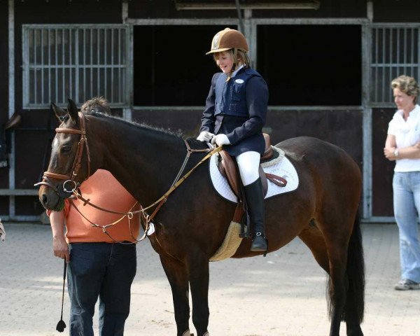 Pferd Comtesse (Deutsches Reitpony, 1990, von Black Magic Diamant) Pferd Comtesse (Deutsches Reitpony, 1990, von Black Magic Diamant)