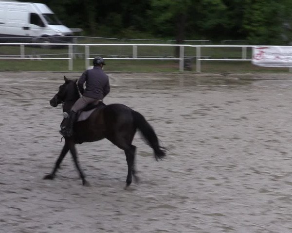 Reitturnier Prussendorf 2022