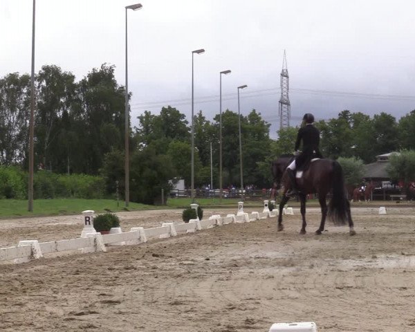 Reitturnier Münster-Roxel 2022