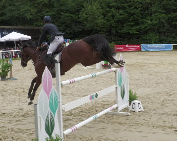 Reitturnier Hünfelden-Kirberg 2022