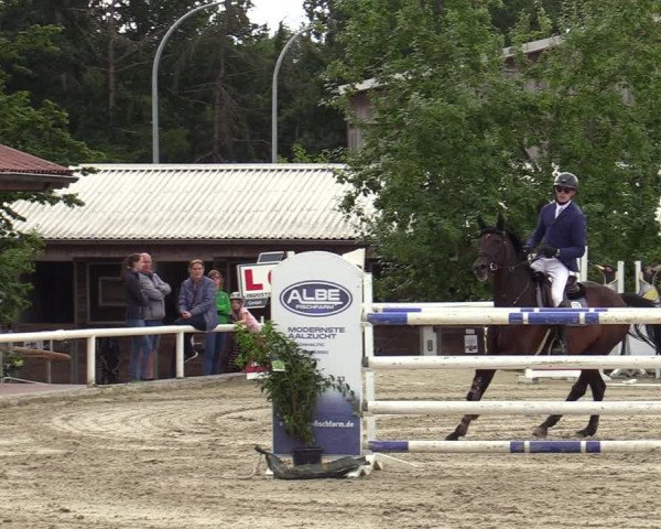 Reitturnier Haren-Raken 2022