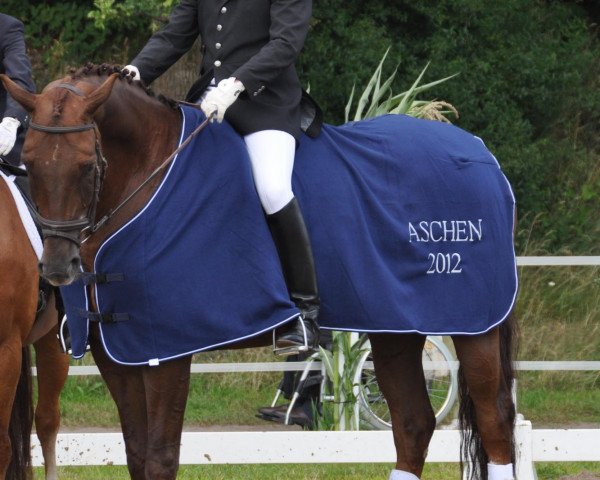 dressage horse Ronjon (Oldenburg, 2006, from Blue Hors Romanov)