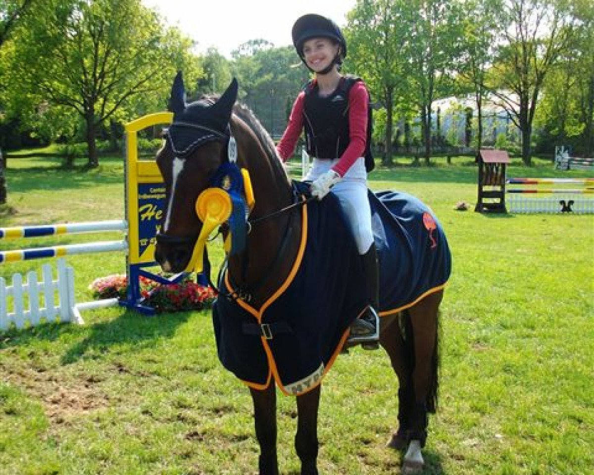 Springpferd Duplex (Deutsches Reitpony, 2001, von Doodoo)