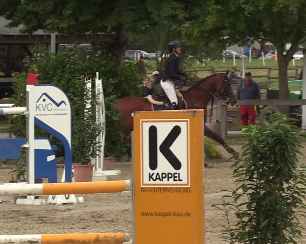 Reitturnier Münster-Roxel 2022