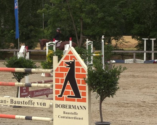 Reitturnier Münster-Roxel 2022