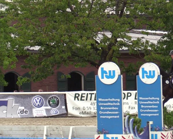 Reitturnier Haren-Raken 2022