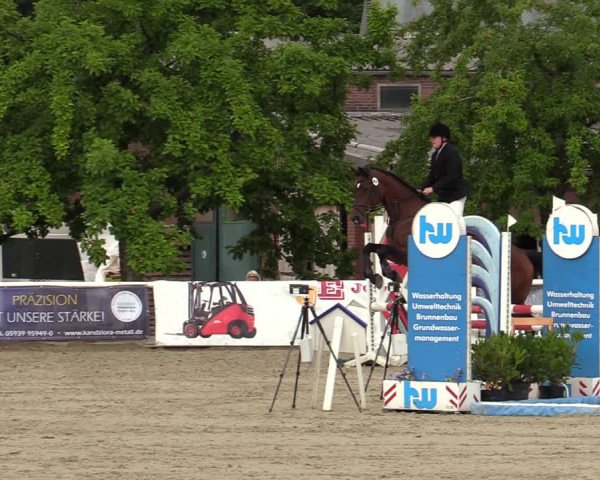 Reitturnier Haren-Raken 2022