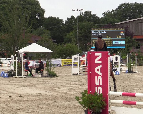 Reitturnier Haren-Raken 2022