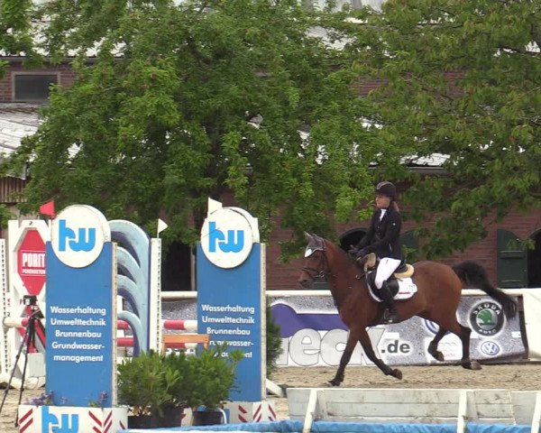 Reitturnier Haren-Raken 2022
