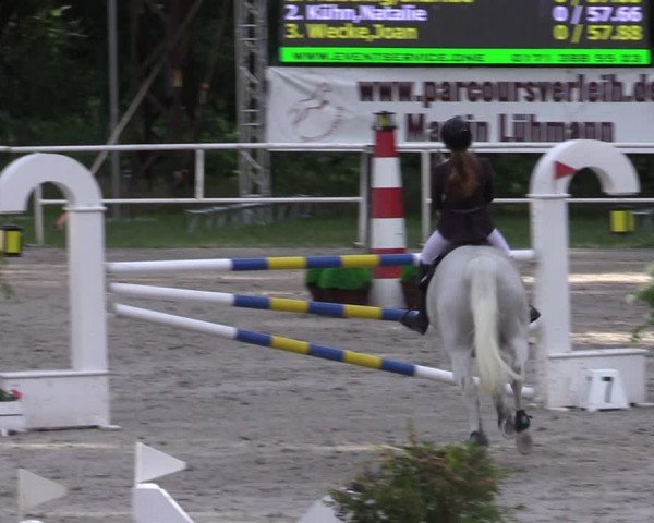 Reitturnier Prussendorf 2022