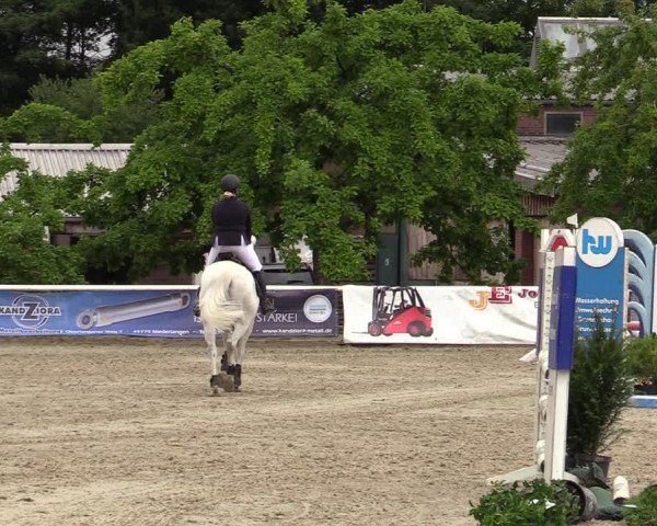 Reitturnier Haren-Raken 2022