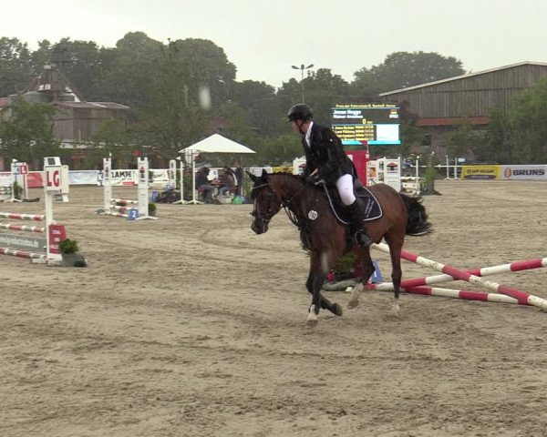 Reitturnier Haren-Raken 2022